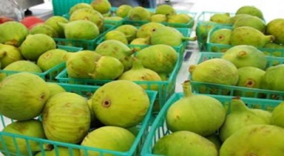 Aydın İnciri Olmasına Dikkat!