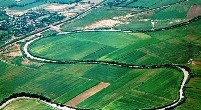 Aydın`da 36 Bin Dekar Alan Nadasa Bırakılıyor