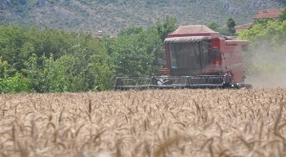 Verim Güzel Fakat Fiyat Düşündürüyor