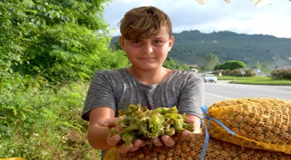 Fındık Toplama Tarihleri Belirlendi