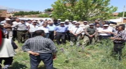 Anıza Doğrudan Ekim