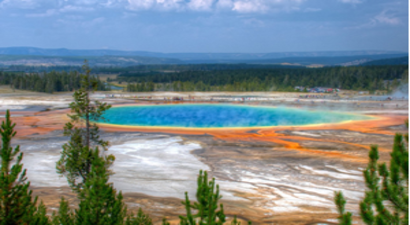 Dünya Bir Yılını Yedi Ayda Tüketti