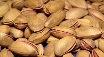 Antep Fıstığı Atağa Geçti