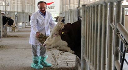 Dünyada İlk Kez Türkiye`de Kullanılıyor