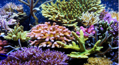 İşbirliği Anlaşması İmzalandı