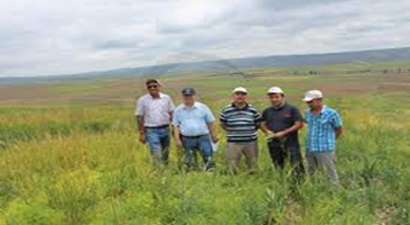 Yozgat`ta Mercimek Marka Oluyor