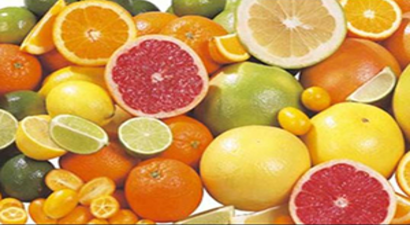 Narenciyede Hasat Sancılı Başladı