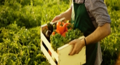 Organik Logosu Olmayan Ürünleri Satın Almayın