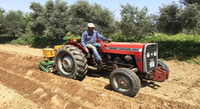 Silajlık Mısırda İkinci Ekim