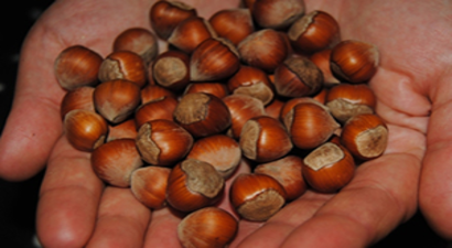 `Üretici, Ürününü İyi Fiyata Satmayı Bekliyor`