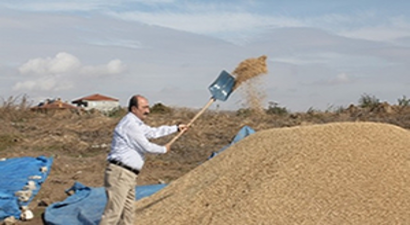 Üreticiye Alternatif Ürün Desteği