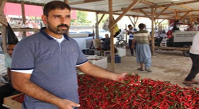 Biber Üreticileri Zor Günler Geçiriyor