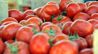 Tarladan Sofraya 5`e Katladı