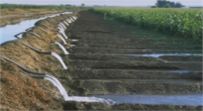 Suruç Ovası Yeşile Büründü