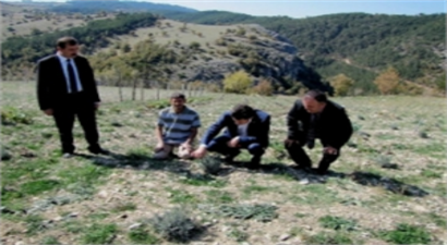 Müdür Gümüş`ten Lavanta Yetiştirin Tavsiyesi