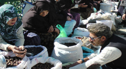 Kestane Bolluğu Satıcıları Sevindirirken, Tüketici Fiyatlardan Şikayetçi