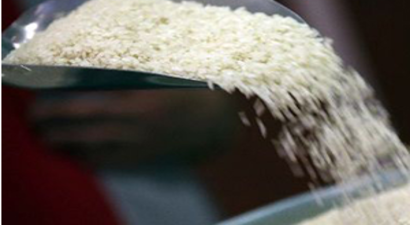 Mısır,  Pirinç Üretimini Daraltıyor