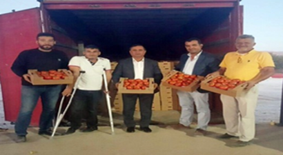 Rekortmen Domatesler Gürcistan`a Gitti