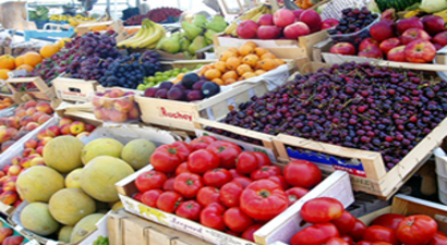 Ruslar, Türk Şirketleriyle Ortak Tarım Projeleri Yapma Konusunda Temkinli Davranıyor