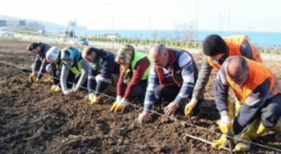 Türkiye`nin İlk Tarlası!