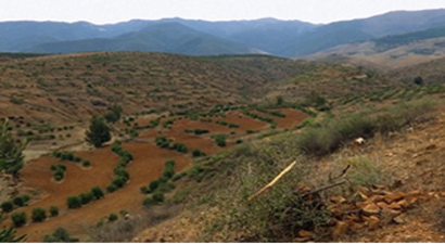 Yeni Kırsal Kalkınma Girişimi Fark Yarattı