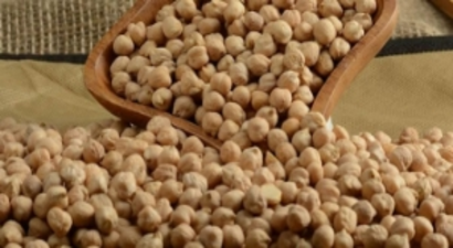 Gaziantep Nohut Üretiminde Söz Sahibi Olacak