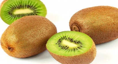 Ordu Kivisi Markaya Koşuyor