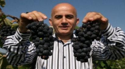 Karadeniz`in Kokulu Üzümleri Tescillendi