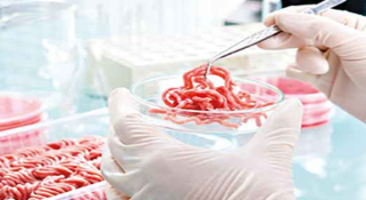 Ucuz Sentetik Etler Tüketiciyle Buluşacak