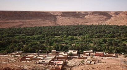 Dünyanın En Büyük Çölü Yeniden Hayat Buluyor