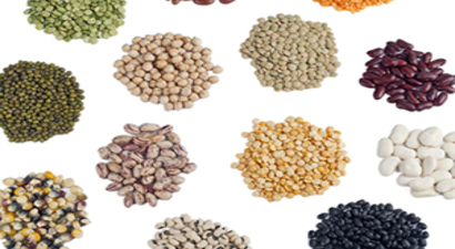 Tohumların Kurumsal Hırsızlığına Direniş: Navdanya Hareketi