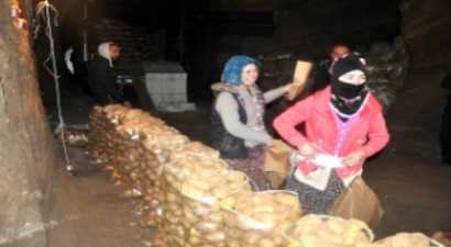 Tonlarca Patates 8 Ay Mağaralarda Saklanıyor