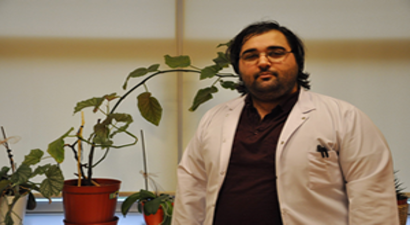 Organik Işık Yayan Bitkiler Sokakları Aydınlatacak