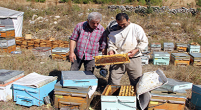 Arıcılar Kovan Desteklemelerini Bekliyor