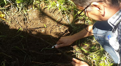 Ceviz Üreticilerine Eğitim