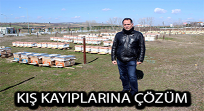 İzolasyonlu Kovan Kış Kayıplarını Azaltıyor