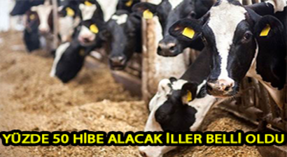 Hayvancılıkta Yüzde 50 Hibe Alacak 12 Şanslı İl Belli Oldu
