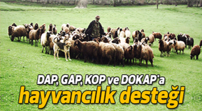 Hayvancılığa Hibe Desteği Verilecek