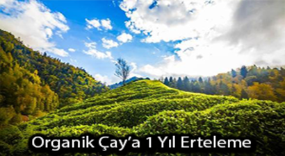 Organik Çay`a 1 Yıl Erteleme