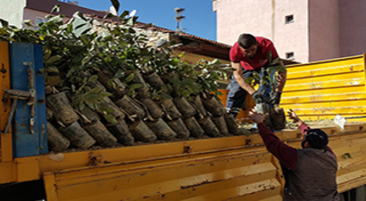 Üreticiye Fidan Desteği