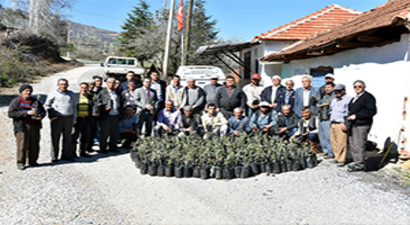 Çiftçiye Fidan Desteği