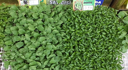 Sebze Fidesi Satışına Talep Arttı