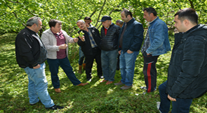 Fındıkta `Tarla Okulu`