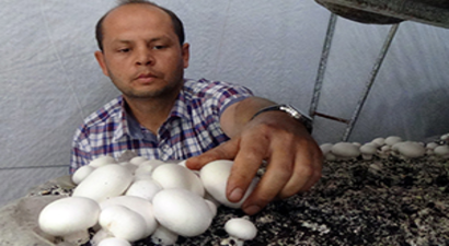 Genç Çiftçi Projesi İle Kendi İşinin Patronu Oldu