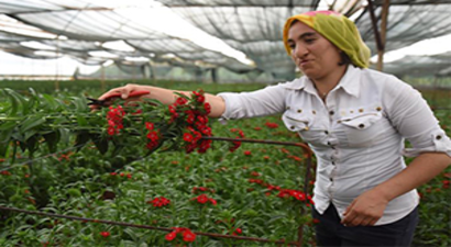Anneler Günü Yerli Çiçekçilere Yarayacak