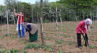 `Pazaryeri Boncuğu`ndan 8 Milyon Lira Gelir Bekliyorlar