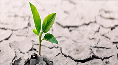 Her yıl Filipinler Büyüklüğünde Tarım Alanı Yok Oluyor