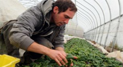 238 Genç Çiftçiye Hibe Desteği