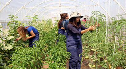 Genç Çiftçi Projelerinin Başvuru Değerlendirme Sonuçları Açıklandı