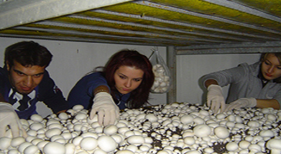 Sektör Bu Öğrencileri Bekliyor